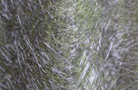 Ulwell fibreglass roof work